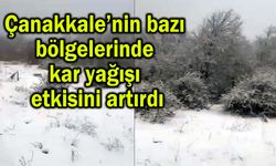 Çanakkale’nin bazı bölgelerinde kar yağışı etkisini artırdı