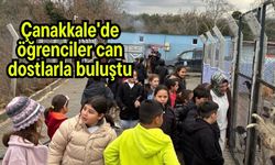 Çanakkale'de öğrenciler can dostlarla buluştu