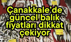 Çanakkale’de güncel balık fiyatları dikkat çekiyor
