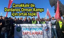 Çanakkale’de Dardanos Orman Kampı için ortak tepki