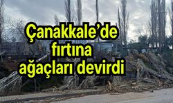 Çanakkale'de fırtına ağaçları devirdi