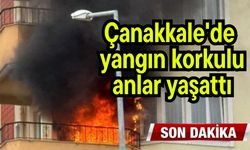 Çanakkale'de  yangın korkulu anlar yaşattı