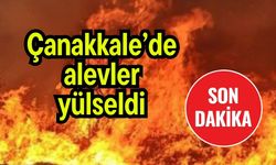 Çanakkale’de alevler yülseldi