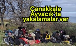 Çanakkale Ayvacık’ta yakalamalar var