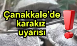 Çanakkale'de karakız uyarısı!