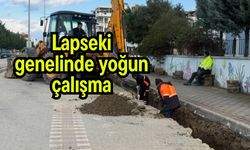 Lapseki genelinde yoğun çalışma