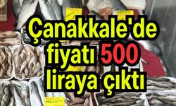 Çanakkale'de fiyatı 500 liraya çıktı