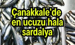 Çanakkale'de en ucuzu hala sardalya