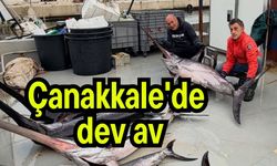 Çanakkale'de dev av