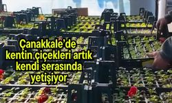 Çanakkale’de kentin çiçekleri artık kendi serasında yetişiyor