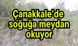 Çanakkale'de soğuğa meydan okuyor