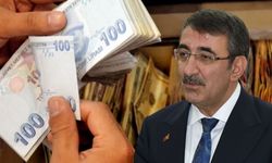 Cumhurbaşkanı Yardımcısı Yılmaz’dan en düşük emekli aylığı açıklaması (Video)