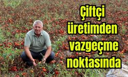 Çiftçilerden çağrı: "Üretim maliyetleri baskılanamaz hale geldi"