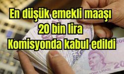 En düşük emekli maaşı 20 bin lira: Komisyonda kabul edildi