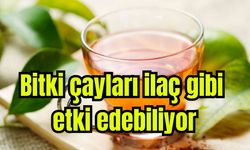 Uzmandan uyarı: "Bitki çayları ilaç gibi etki edebiliyor"