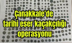 Çanakkale'de tarihi eser kaçakçılığı operasyonu
