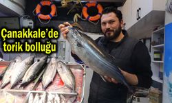 Çanakkale'de torik bolluğu (Video)