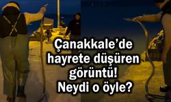Çanakkale’de hayrete düşüren görüntü (Video)