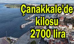Çanakkale'de 2700 liradan satılıyor