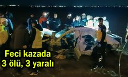 Feci kazada 3 ölü, 3 yaralı (Video)