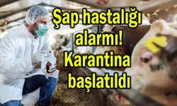 Şap hastalığı alarmı! Karantina başlatıldı
