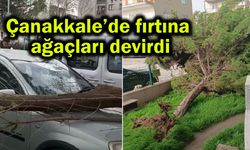 Çanakkale’de fırtına ağaçları devirdi
