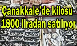 Çanakkale’de kilosu 1800 liradan satılıyor