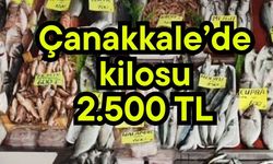 Çanakkale’de kilosu 2.500 TL