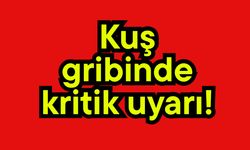 Kuş gribinde kritik uyarı!