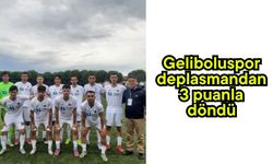 Geliboluspor deplasmandan 3 puanla döndü