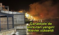 Çanakkale’de korkutan yangın! Alevler yükseldi