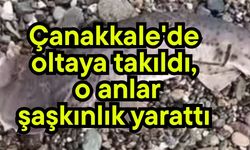 Çanakkale'de oltaya takıldı, o anlar şaşkınlık yarattı