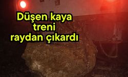 Düşen kaya treni raydan çıkardı