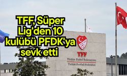 TFF, Süper Lig'den 10 kulübü PFDK'ya sevk etti