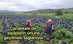 Çanakkale’de kayıpların önüne geçilmesi sağlanıyor