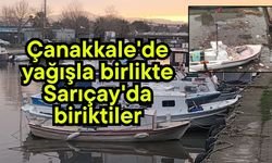 Çanakkale'de yağışla birlikte Sarıçay'da biriktiler (Video)
