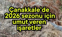 Çanakkale’de 2026 sezonu için umut veren işaretler