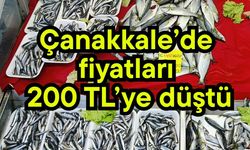 Çanakkale’de fiyatları 200 TL’ye düştü