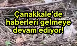 Çanakkale’de haberleri gelmeye devam ediyor!