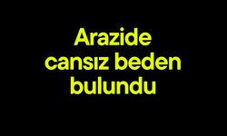 Arazide cansız beden bulundu