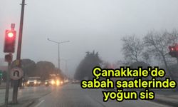 Çanakkale'de sabah saatlerinde yoğun sis (Video)
