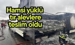 Hamsi yüklü tır alevlere teslim oldu