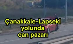Çanakkale-Lapseki yolunda can pazarı