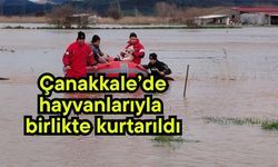 Çanakkale’de hayvanlarıyla birlikte kurtarıldı (Video)