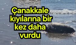 Çanakkale kıyılarına bir kez daha  vurdu