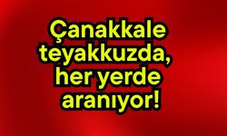 Çanakkale teyakkuzda, her yerde aranıyor!