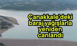 Çanakkale'deki baraj yağışlarla yeniden canlandı