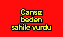 Cansız beden sahile vurdu