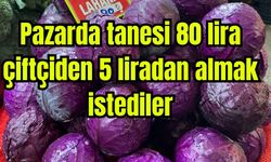 Pazarda tanesi 80 lira; çiftçiden 5 liradan almak istediler (Video)