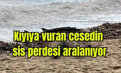 Kıyıya vuran cesedin sis perdesi aralanıyor